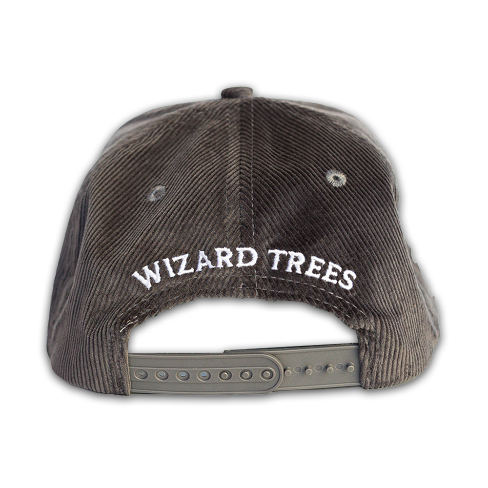 LA Corduroy Hat (grey)